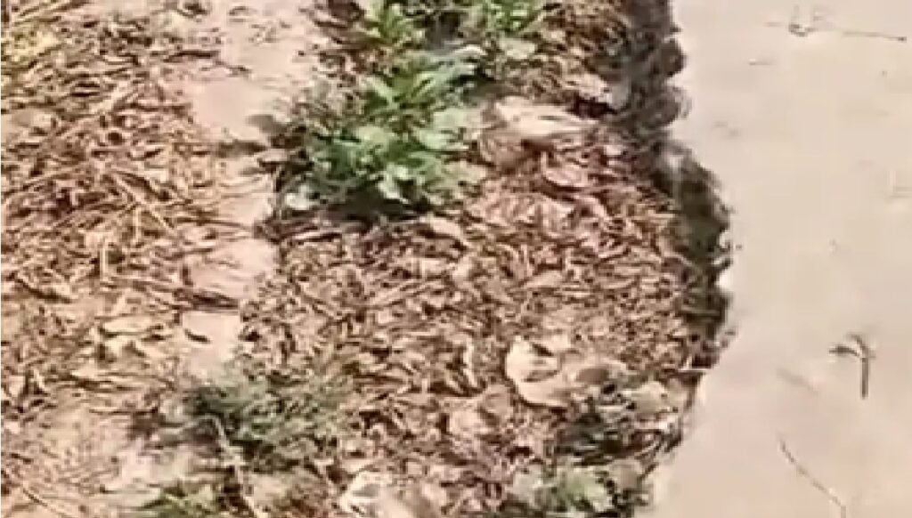 Pothole on UP road