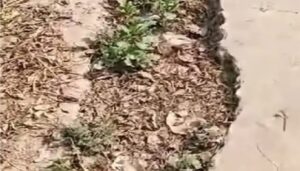 Pothole on UP road